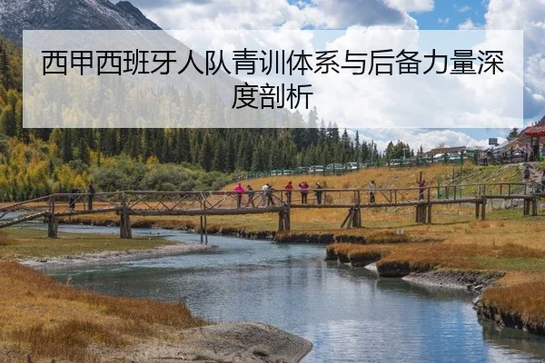 西甲西班牙人队青训体系与后备力量深度剖析